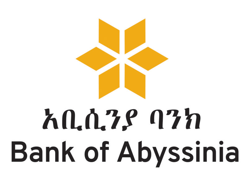 Bank Of Abyssinia Company Profile