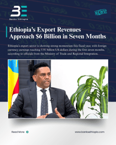 Ethiopia’s Export Revenues Approach $6 Billion in Seven Months, Minister of Trade and Regional Integration