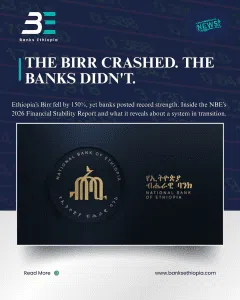 THE BIRR CRASHED. THE BANKS DIDN'T.