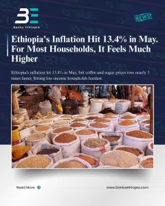 Ethiopia's Inflation Hit 13.4% in May. For Most Households, It Feels Much Higher