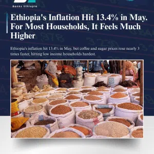 Ethiopia's Inflation Hit 13.4% in May. For Most Households, It Feels Much Higher