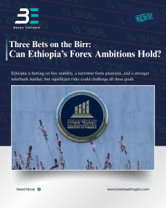 Three Bets on the Birr: Can Ethiopia’s Forex Ambitions Hold? Ministry of Finance