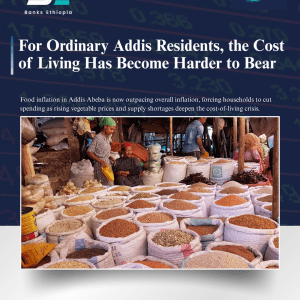 For Ordinary Addis Residents, the Cost of Living Has Become Harder to Bear inflation