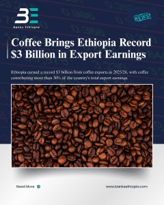 Coffee Brings Ethiopia Record $3 Billion in Export Earnings