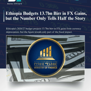 Ethiopia Budgets 13.7bn Birr in FX Gains, but the Number Only Tells Half the Story