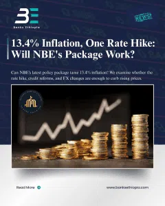 13.4% Inflation, One Rate Hike: Will NBE's Package Work?