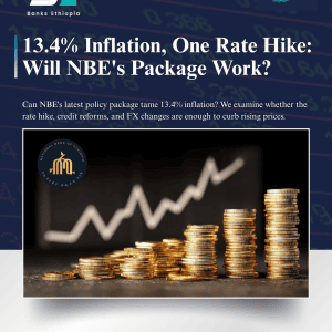 13.4% Inflation, One Rate Hike: Will NBE's Package Work?