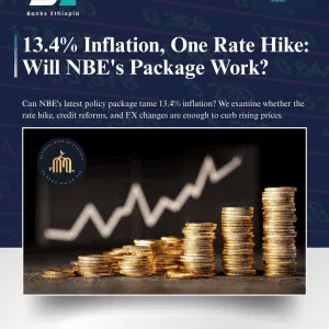 13.4% Inflation, One Rate Hike: Will NBE's Package Work?