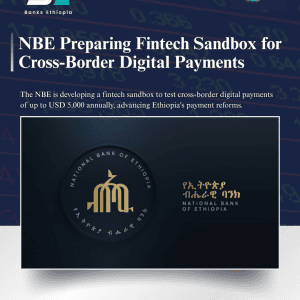 NBE Preparing Fintech Sandbox for Cross-Border Digital Payments