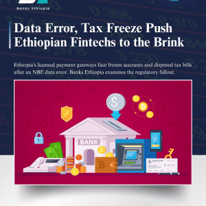 Data Error, Tax Freeze Push Ethiopian Fintechs to the Brink