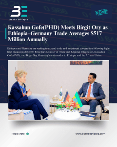Kassahun Gofe(PHD) Meets Birgit Ory as Ethiopia–Germany Trade Averages $517 Million Annually