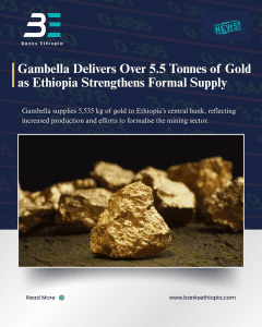 Gambella Delivers Over 5.5 Tonnes of Gold as Ethiopia Strengthens Formal Supply