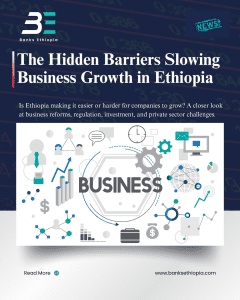 The Hidden Barriers Slowing Business Growth in Ethiopia