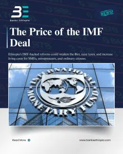 The Price of the IMF Deal