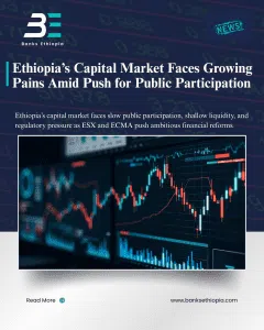 Ethiopia’s Capital Market Faces Growing Pains Amid Push for Public Participation