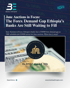 June Auctions in Focus: The Forex Demand Gap Ethiopia's Banks Are Still Waiting to Fill