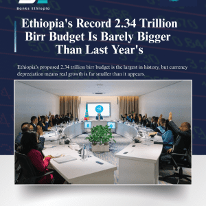 Ethiopia's Record 2.34 Trillion Birr Budget Is Barely Bigger Than Last Year's Council of Ministers