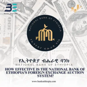 How Effective is the National Bank of Ethiopia's Foreign Exchange Auction System?
