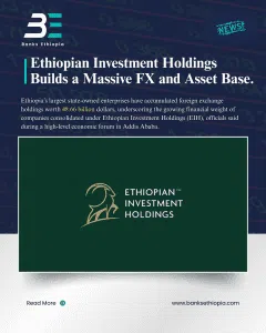Ethiopian Investment Holdings Builds a Massive FX and Asset Base.