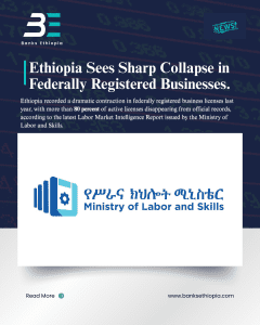 Ethiopia Sees Sharp Collapse in Federally Registered Businesses. Ministry of labor and skills.