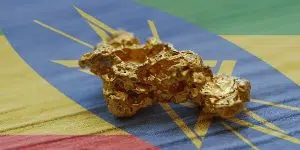 The amount of gold gained