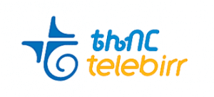 Telebirr and its digital monopoly